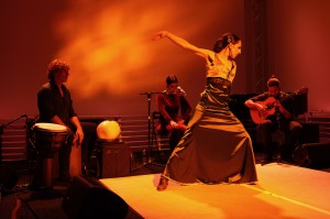 Flamenco Festival Rotterdam